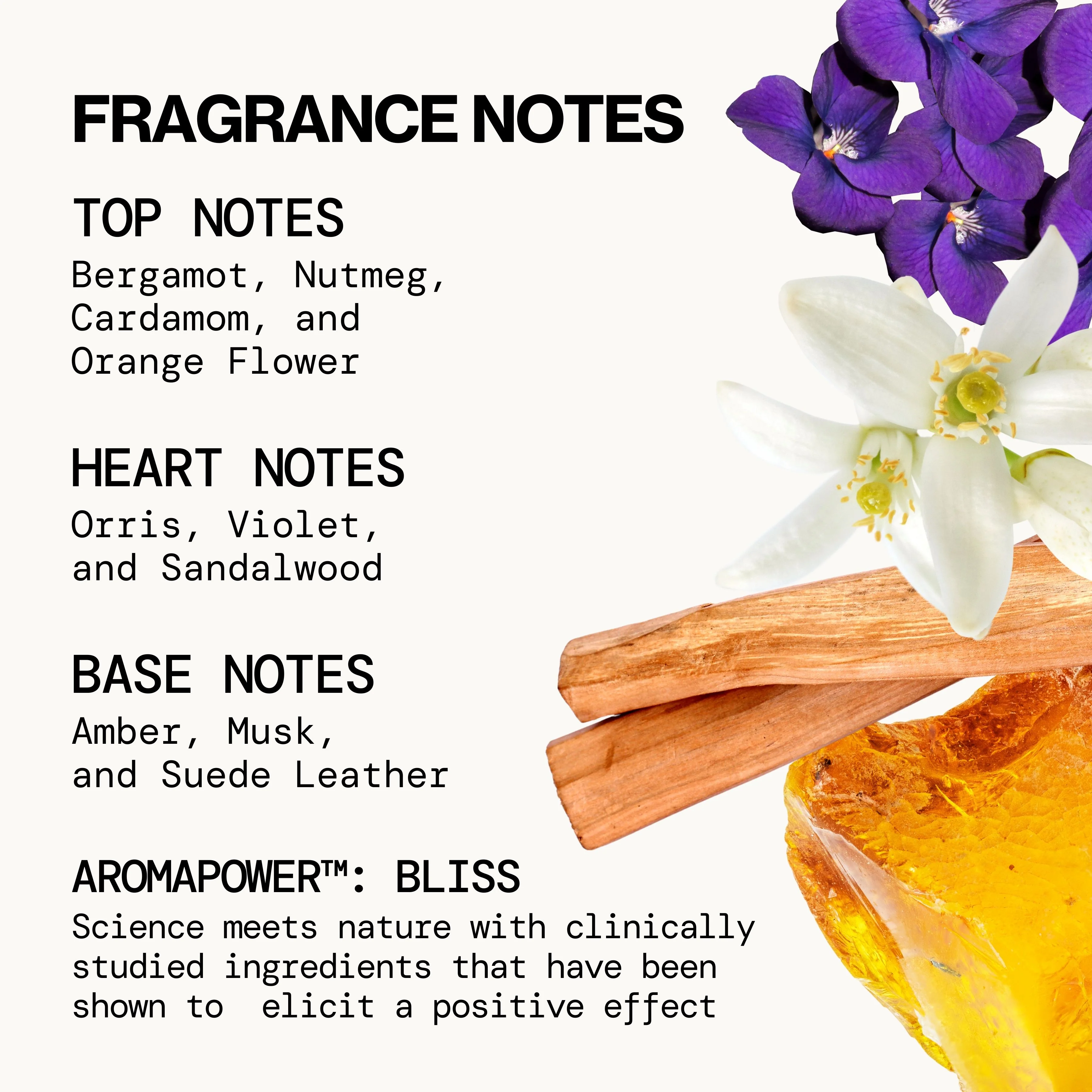 Beach Day Hair & Body Mist - Image 3