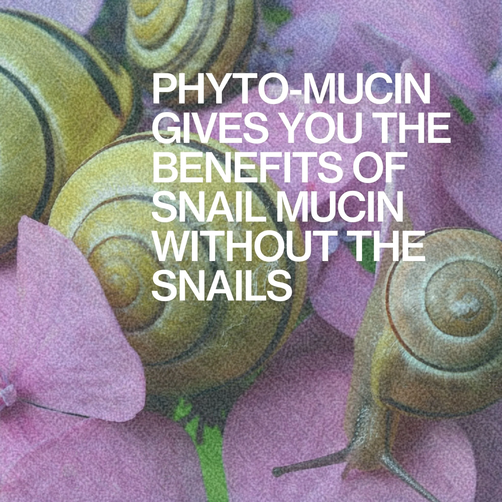 Hydrodew Vegan Mucin Barrier Face Moisturizer - Image 4