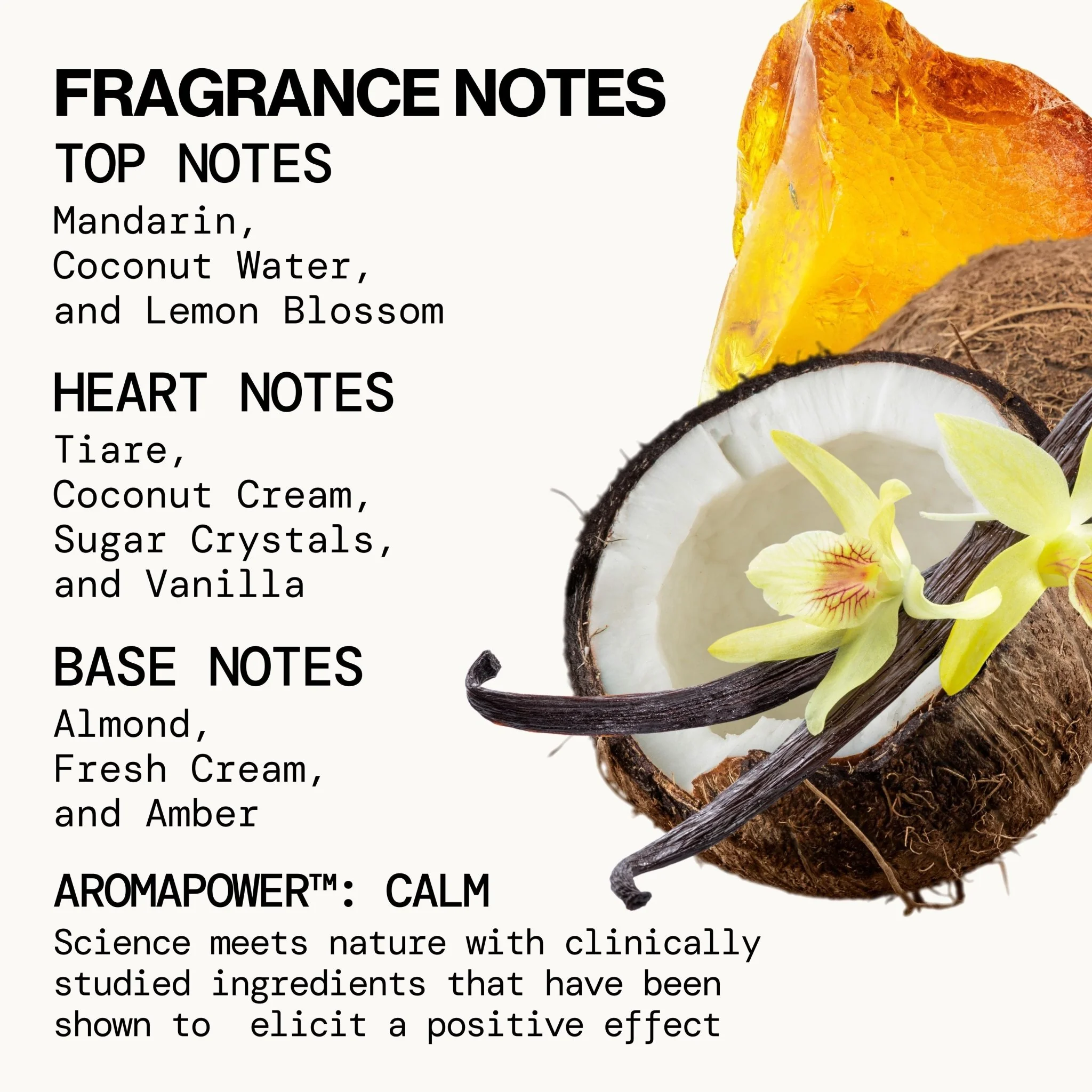 Indian Coconut Nectar Spray Perfume - Image 3