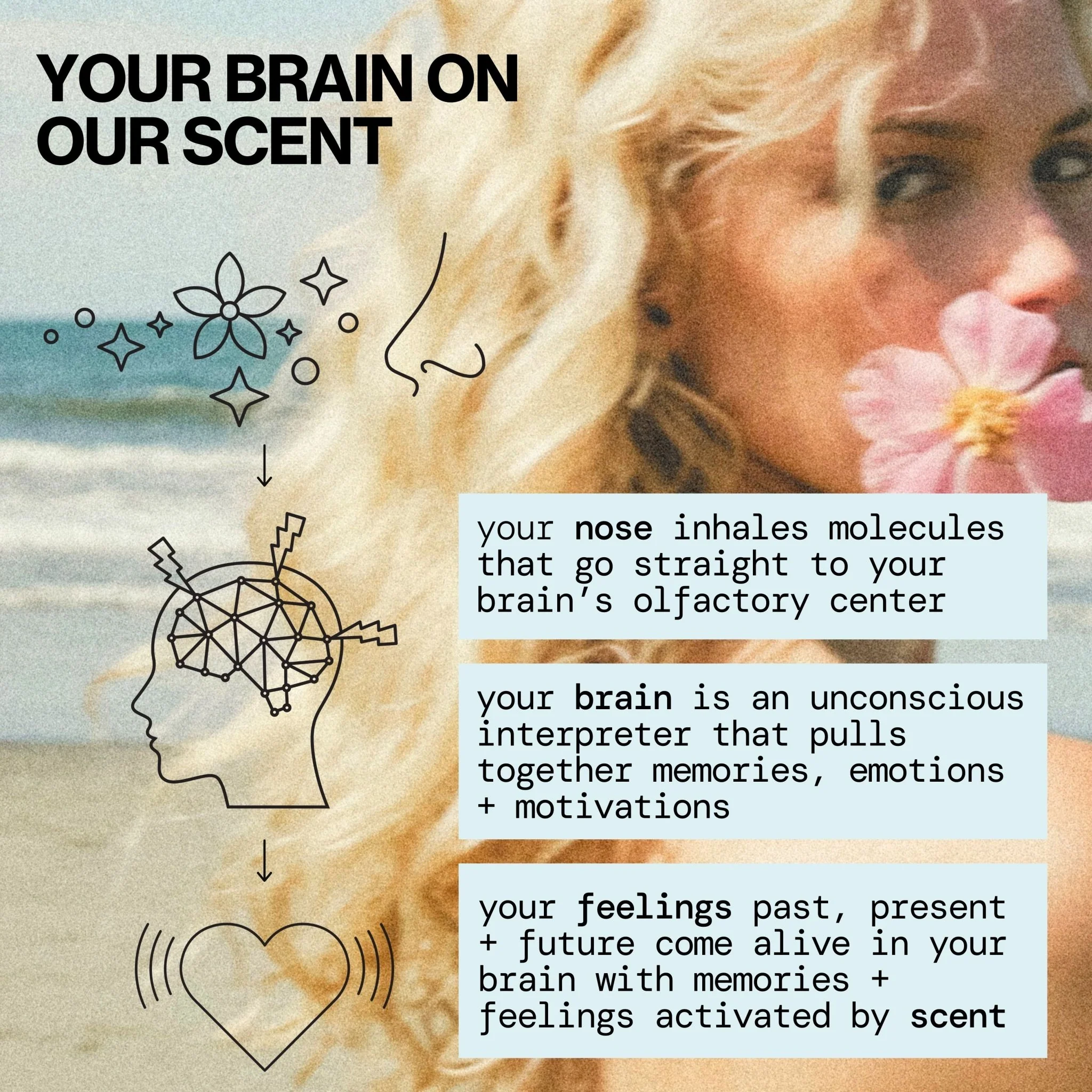 Indian Coconut Nectar Spray Perfume - Image 6