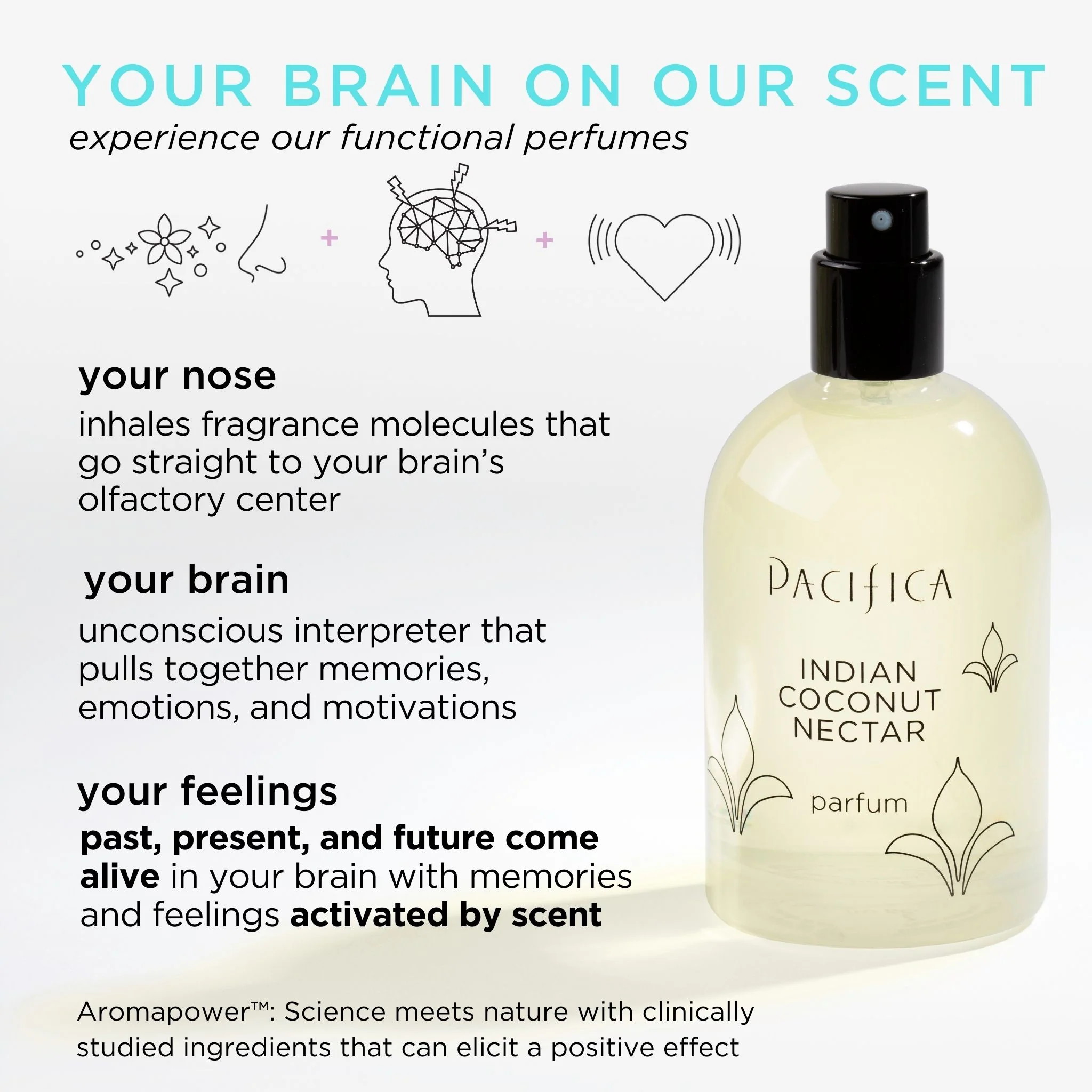 Indian Coconut Nectar Spray Perfume - Image 4