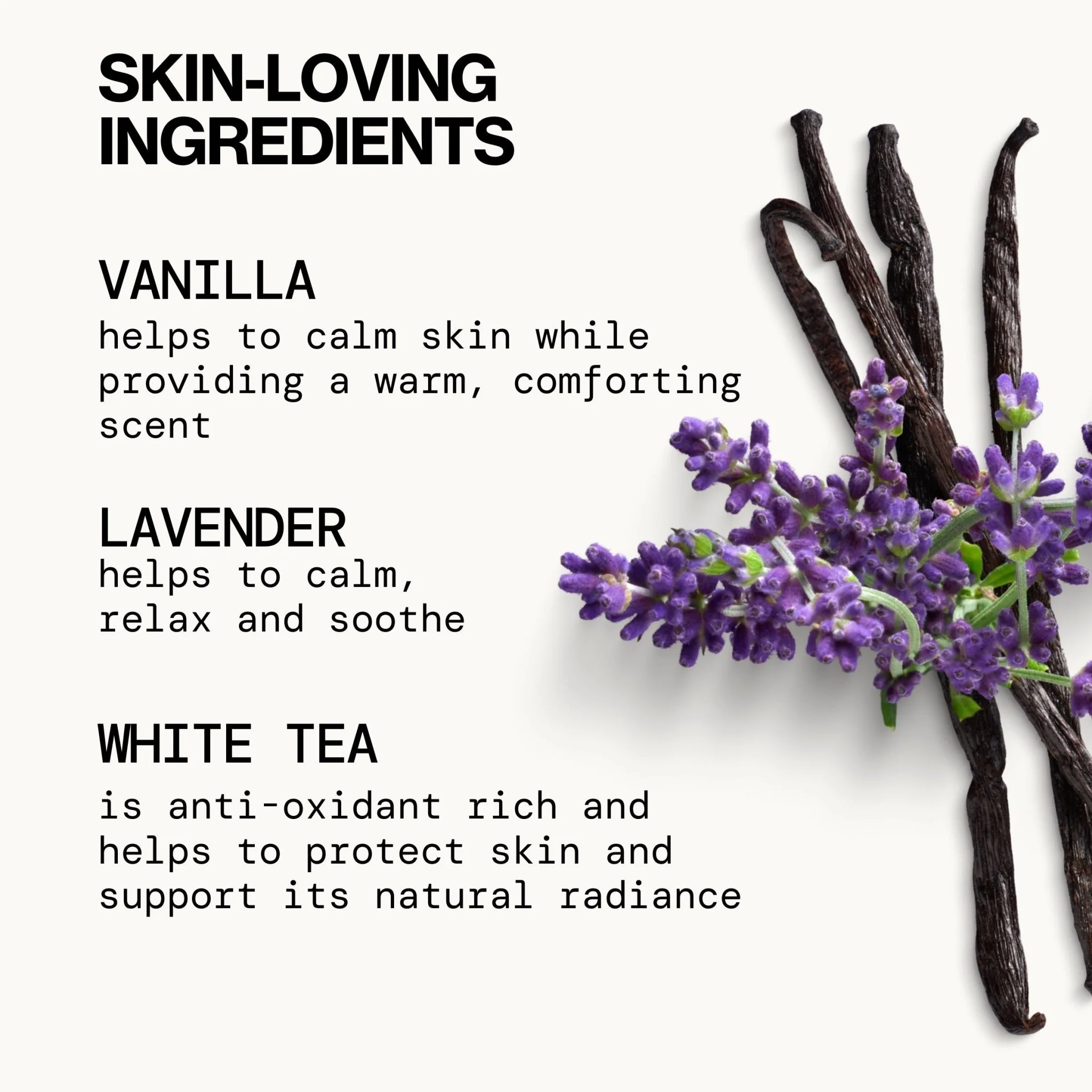 Island Vanilla Body Wash - Image 4