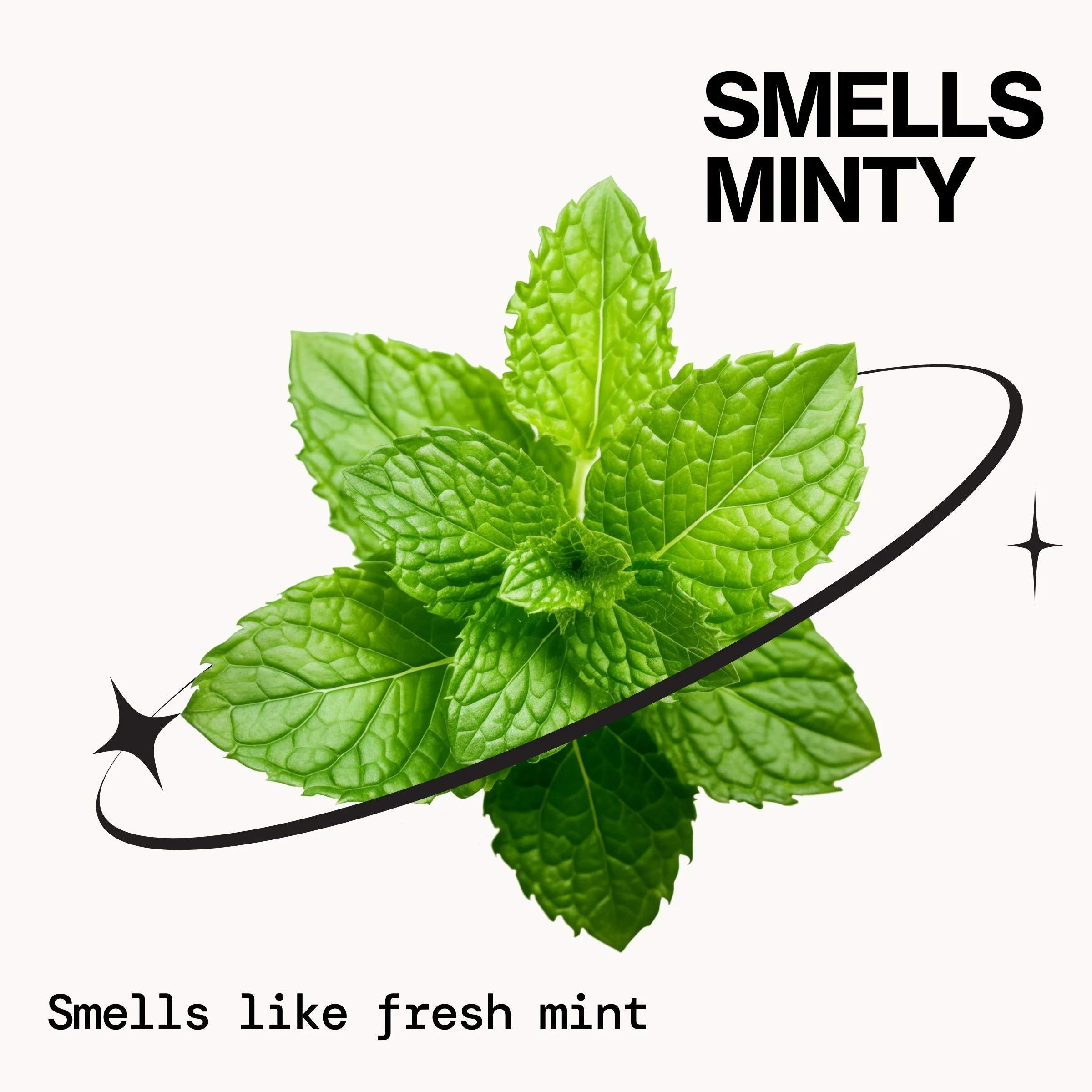 Rosemary Detox Scalp Scrub - Image 10