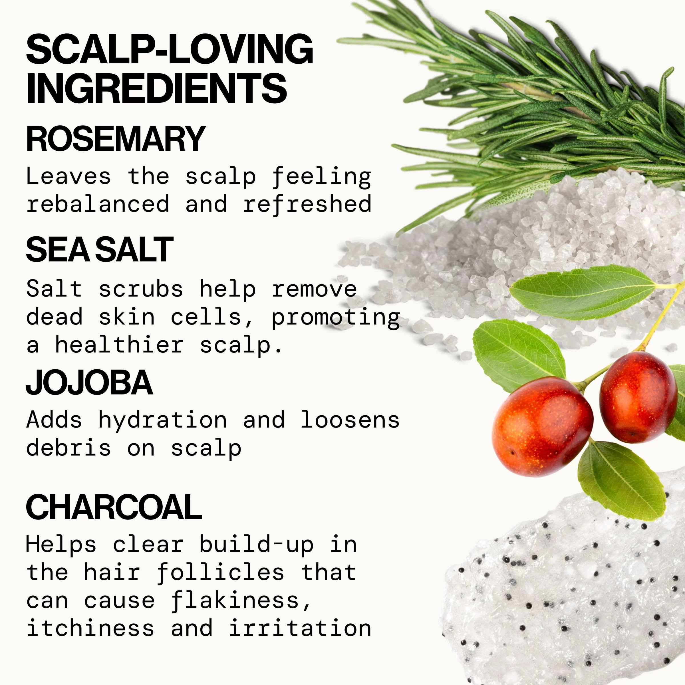 Rosemary Detox Scalp Scrub - Image 5