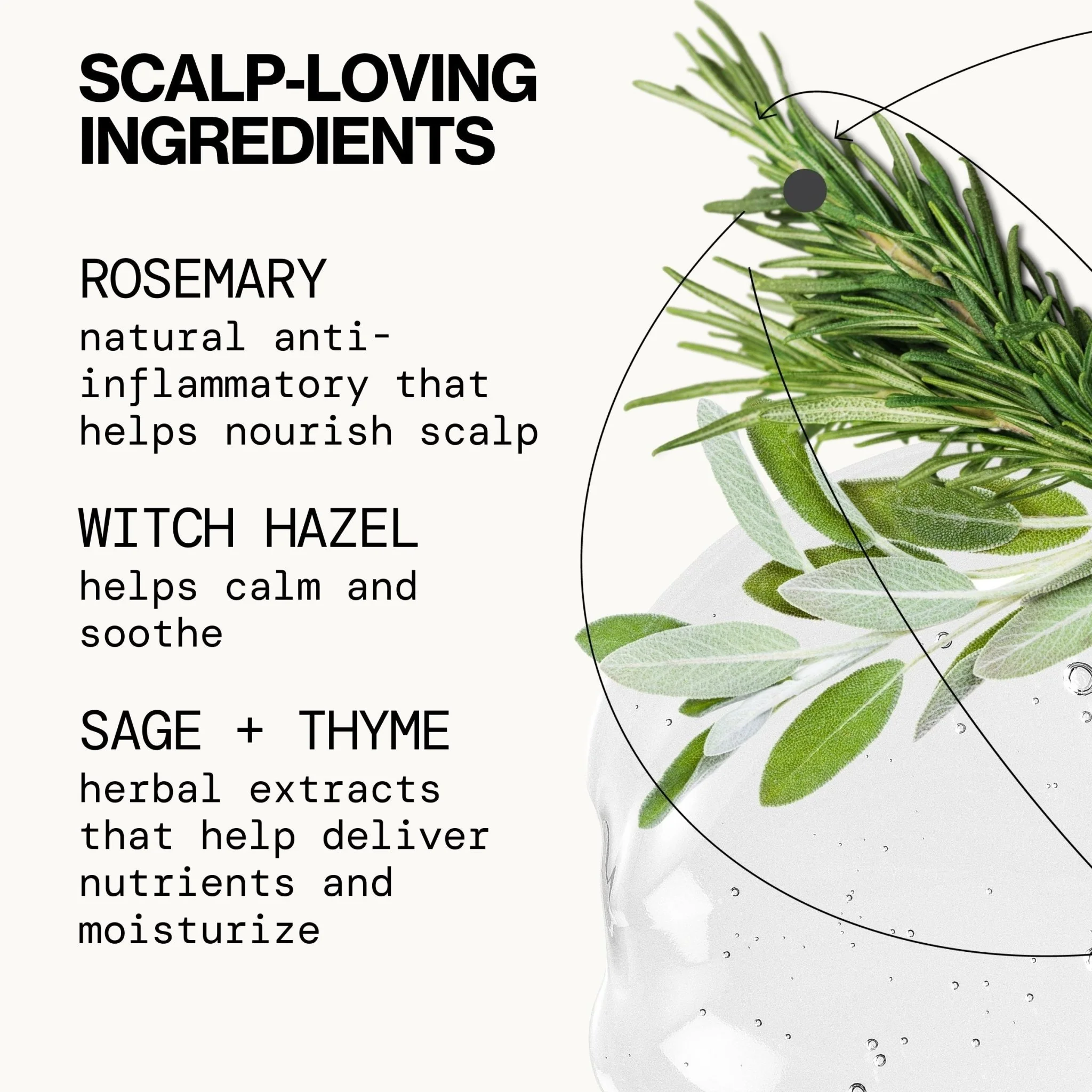Scalp Love Rosemary Mint Serum - Image 5