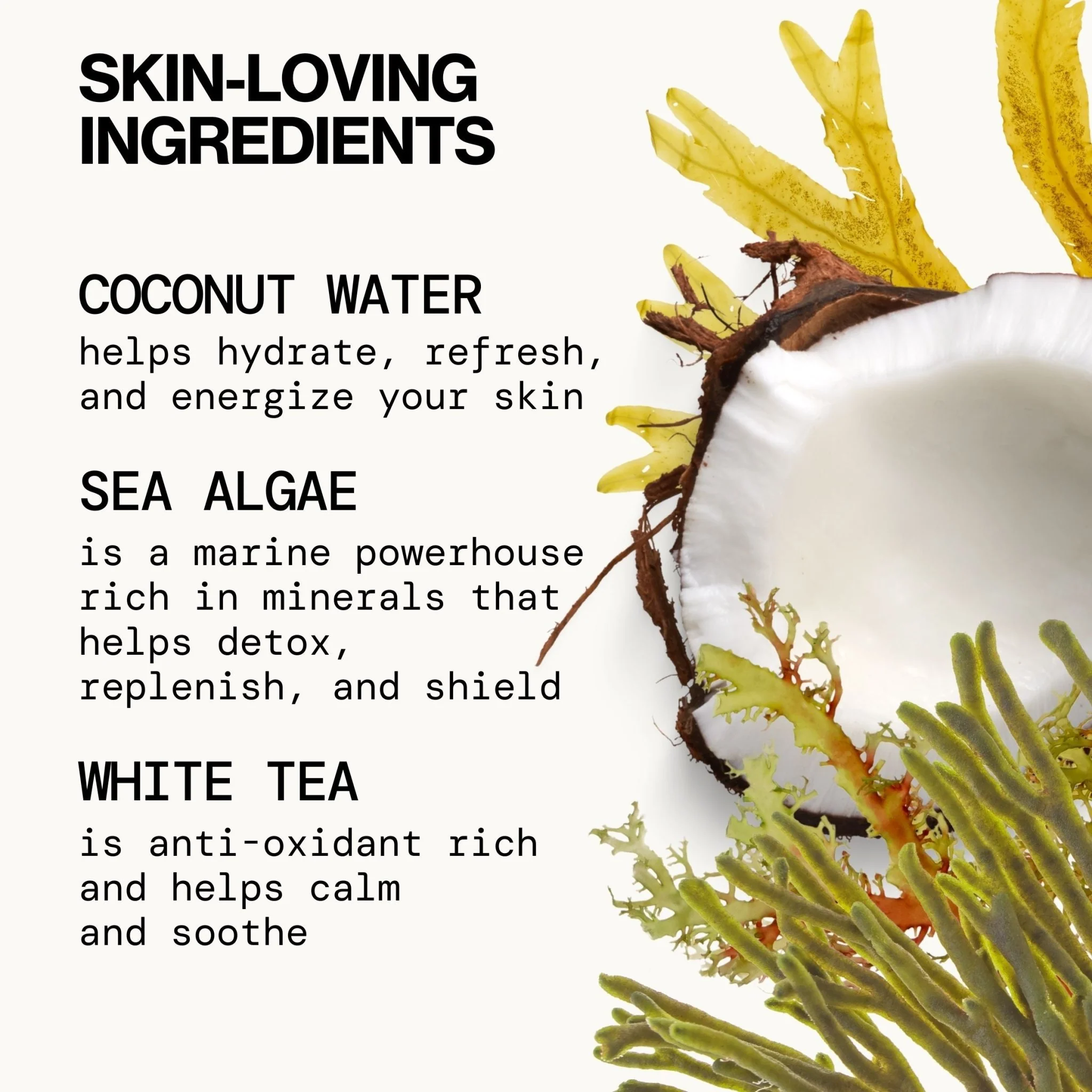 Sea Foam Complete Face Wash - Image 5