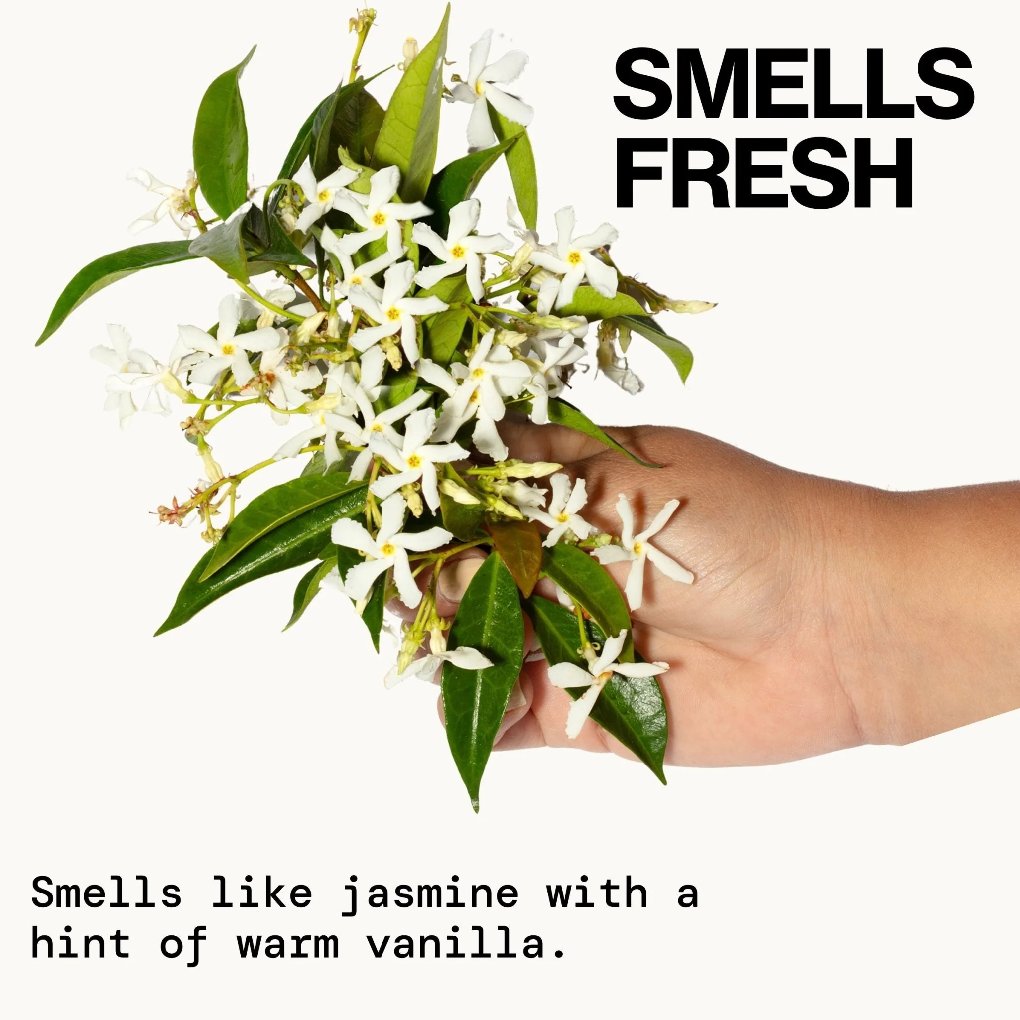 Vegan Collagen Body Milk Spray - Image 9