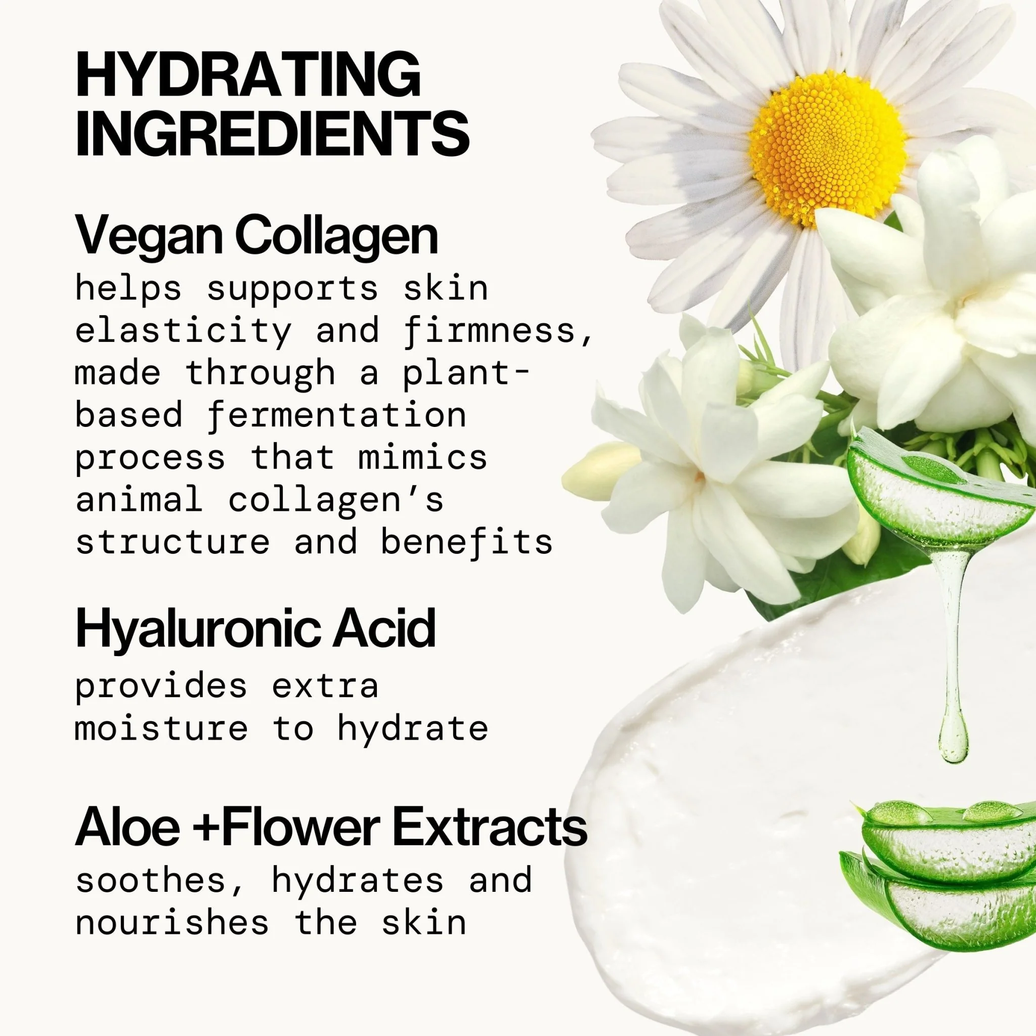 Vegan Collagen Complex Serum - Image 6