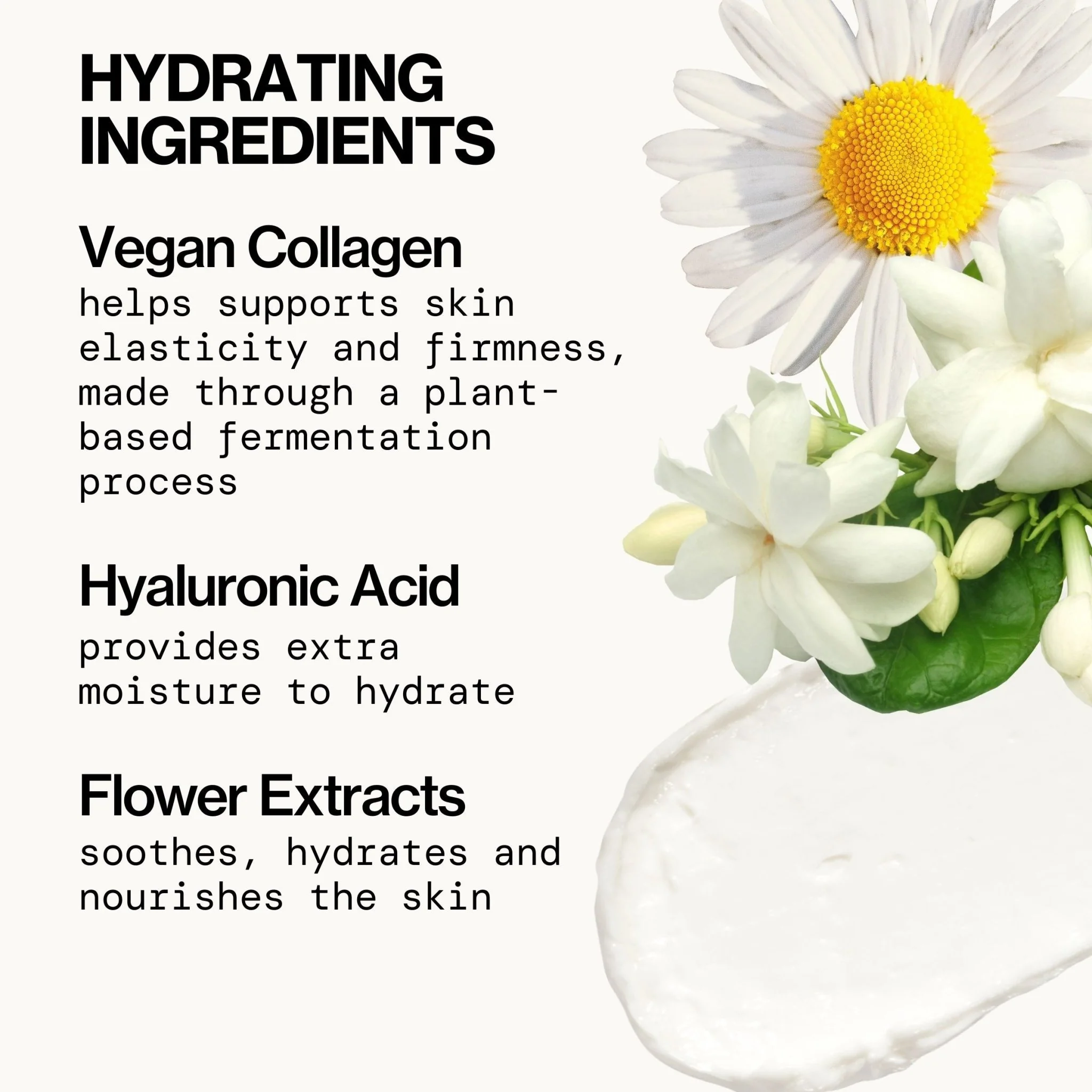 Vegan Collagen Overnight Recovery Cream - Image 5