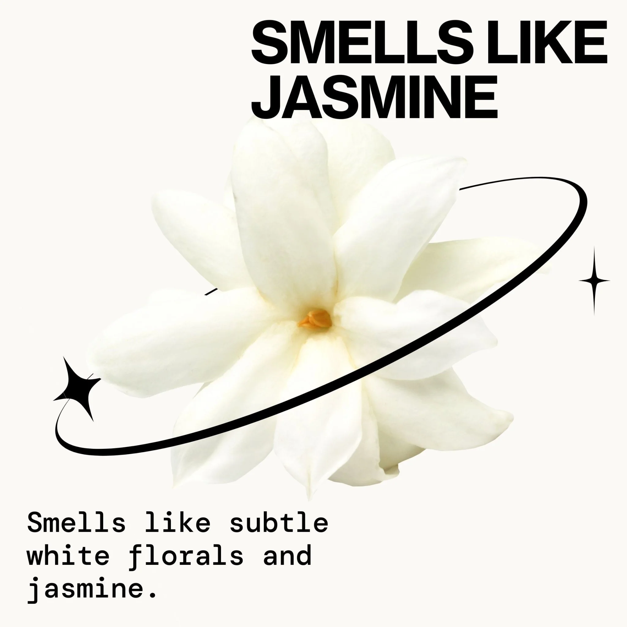 Vegan Collagen Overnight Recovery Cream - Image 9